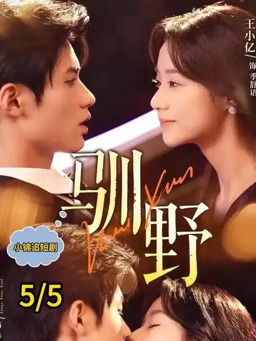 大江大河之岁月如歌 年代剧